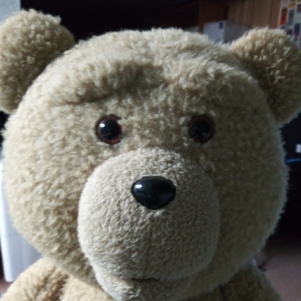 Meet your Posher, William